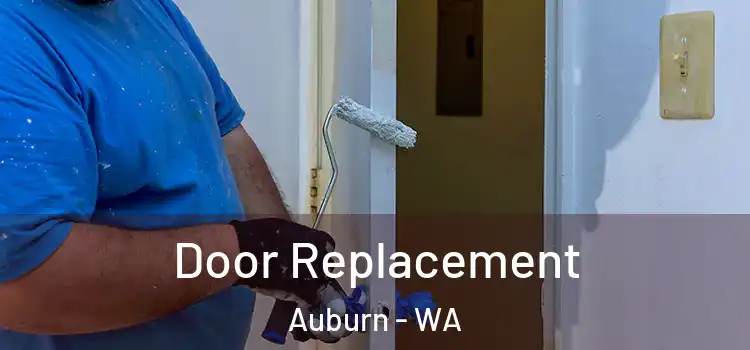 Door Replacement Auburn - WA