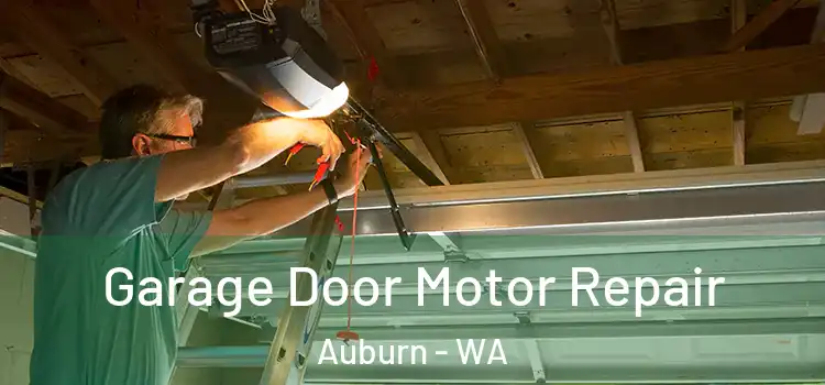  Garage Door Motor Repair Auburn - WA