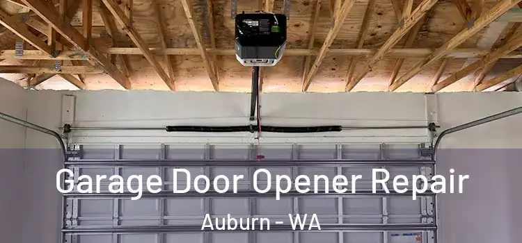  Garage Door Opener Repair Auburn - WA