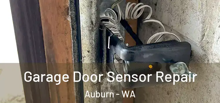 Garage Door Sensor Repair Auburn - WA