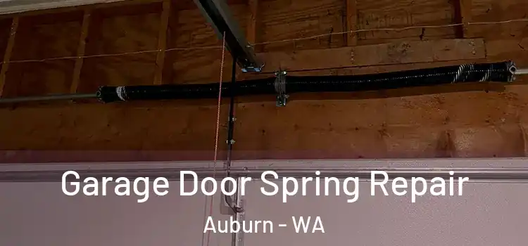  Garage Door Spring Repair Auburn - WA