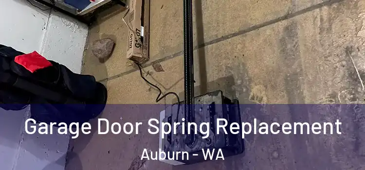  Garage Door Spring Replacement Auburn - WA