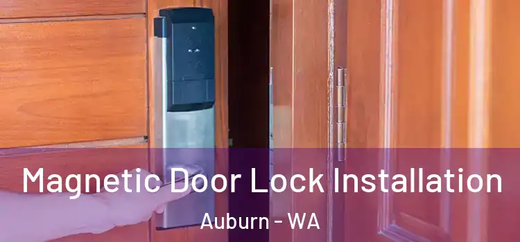  Magnetic Door Lock Installation Auburn - WA