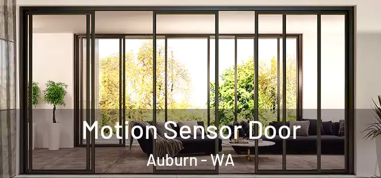 Motion Sensor Door Auburn - WA